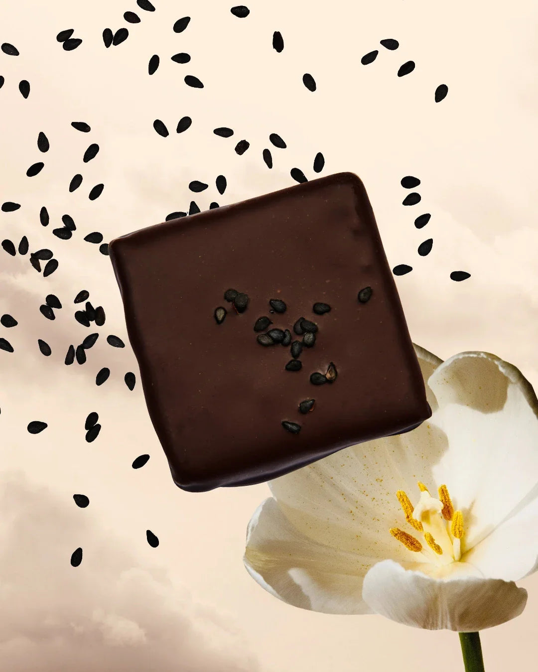 Box Of 7 Chakra Chocolates